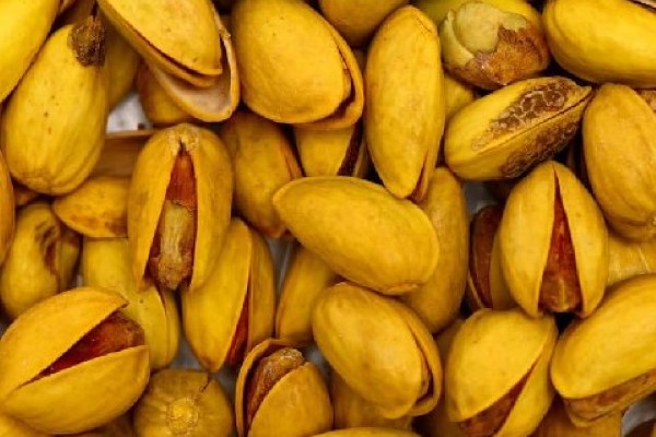 تصویر 2 از قیمت و خرید پسته اکبری زعفرانی + فروش ارزان